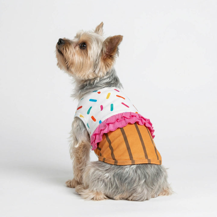 Yorkie in a funny costume for dogs and sitting on the ground