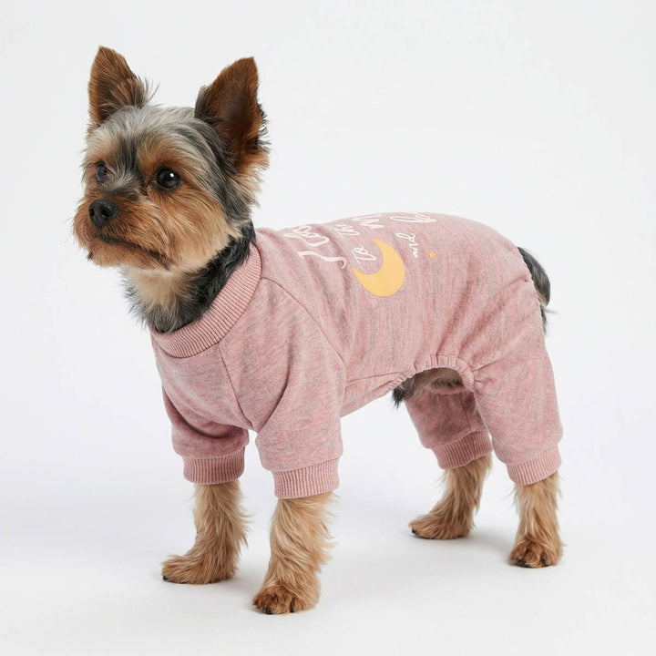 Small dog wearing a pink dog jammies with a moon design on a white background