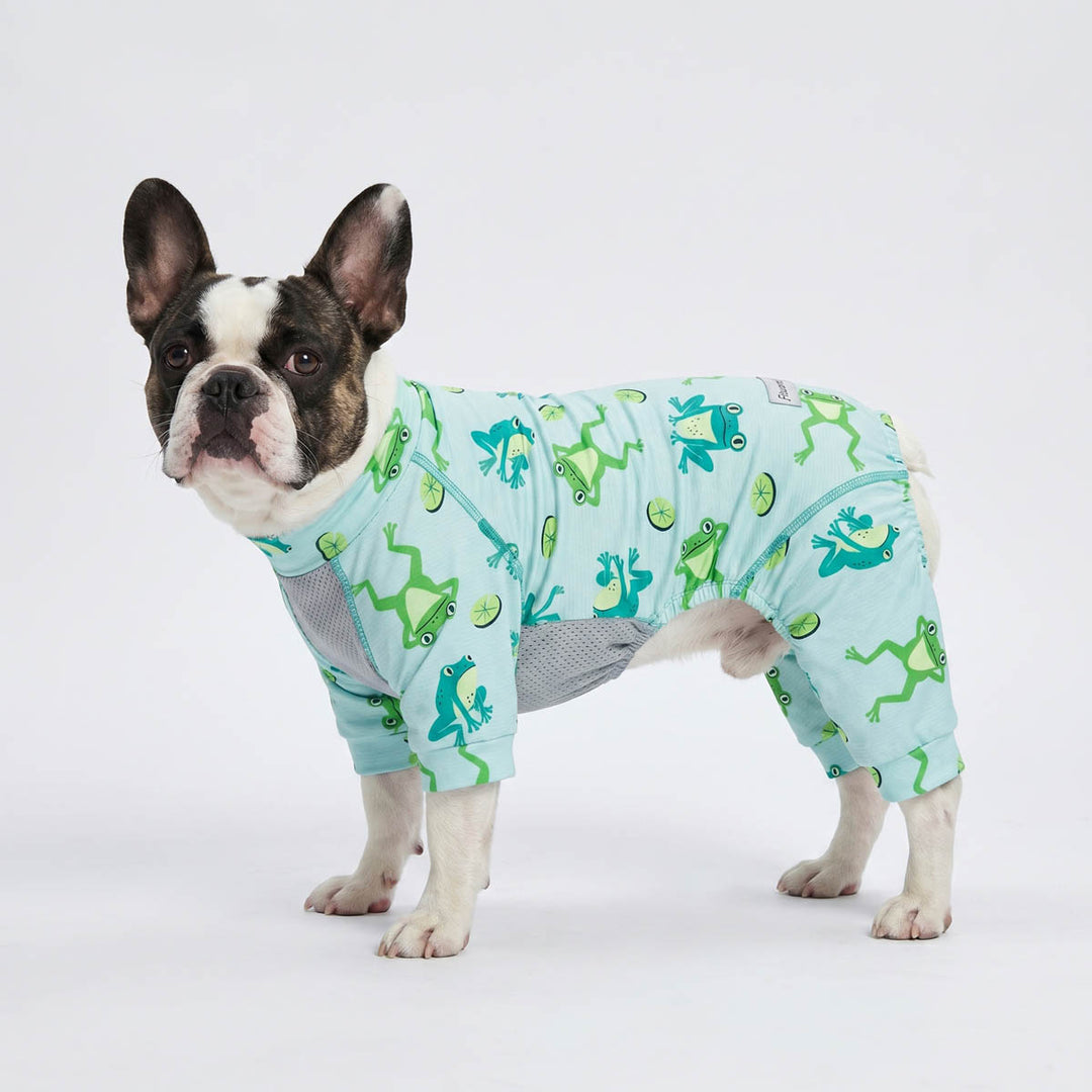 French Bulldog wearing a dog sun protection onesie with mesh fabric