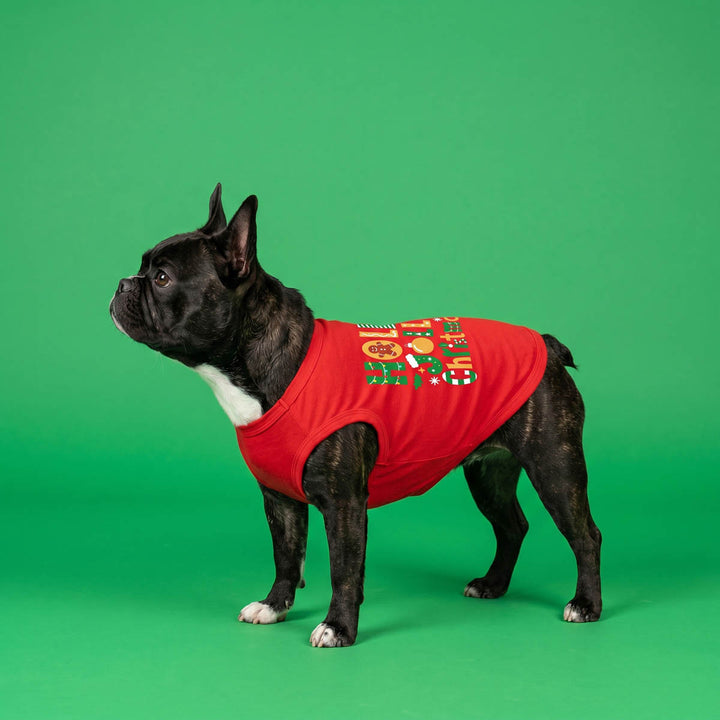 French Bulldog standing against a solid green background with a red Christmas-themed dog tshirt with gingerbread cookies and ornaments