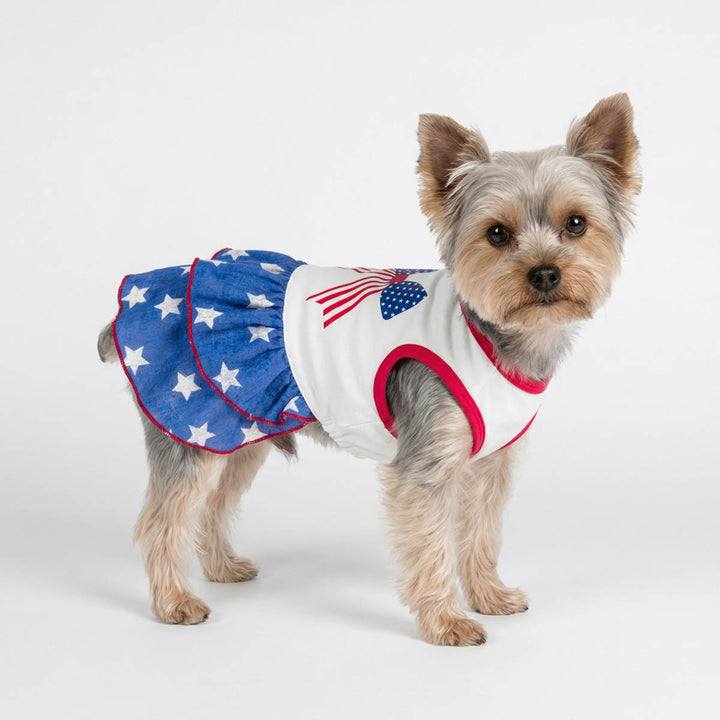 Yorkie wearing a 4th of July red white and blue dog dress