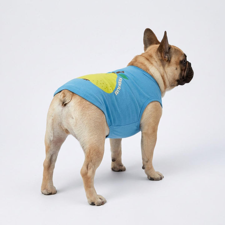 Cute dog posing in a pear themed dog tank top on clean white background.