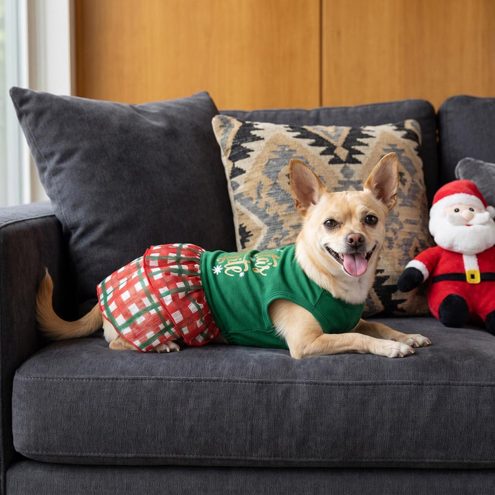 Chihuahua lying on the sofa and next to Santa doll with a red and green Christmas dog tutu