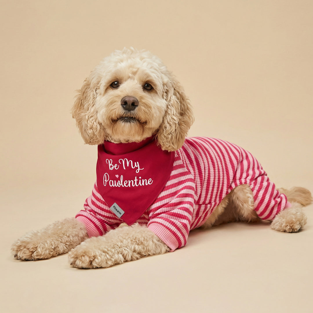Dog lying down in pink striped pajamas for dogs with Valentine dog bandana on beige background