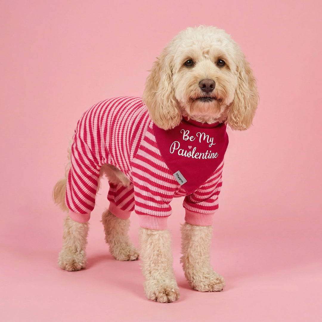 Cute dog wearing pink striped dog pajamas and red Valentine dog bandana 