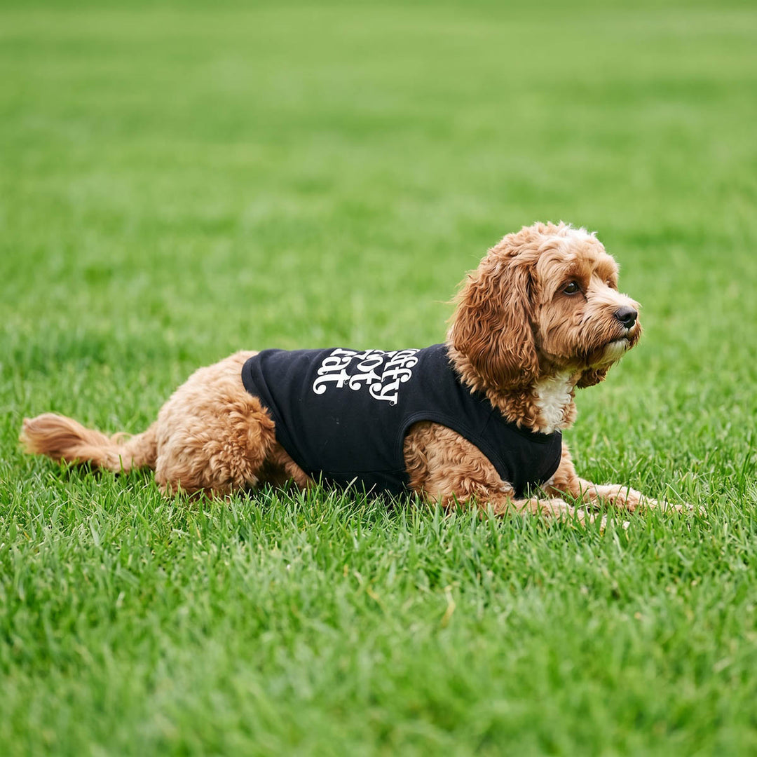 Small dog lying on the grass in a humorous Fluffy not Fat dog t-shirt