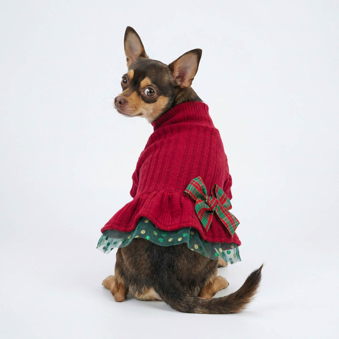 Chihuahua sitting with ribbed knitted dog dress with a red and green bow, perfect for Christmas