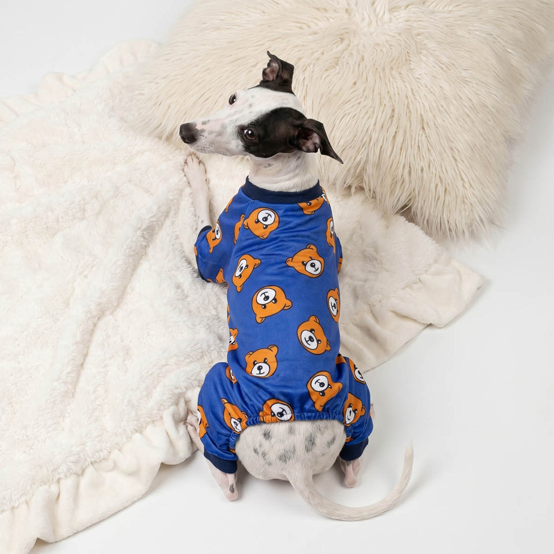 Small lying on a blanket and wearing a cozy dog onesie with bear prints