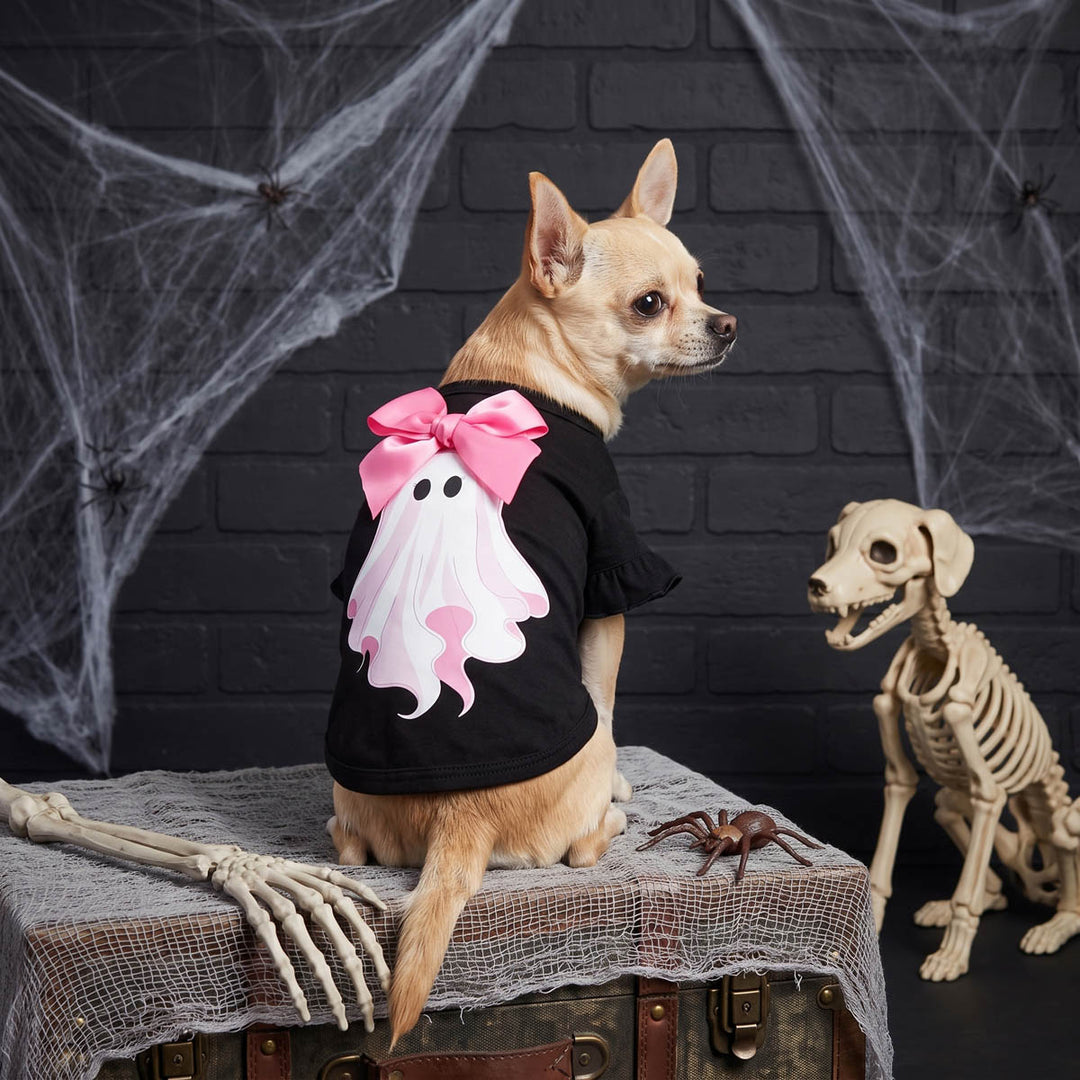 Back view of Chihuahua wearing a black Halloween dog t shirt with a pink bow and ghost graphic, sitting on a vintage trunk in a Halloween-themed setup with cobwebs, a skeleton prop, and a real dog skeleton