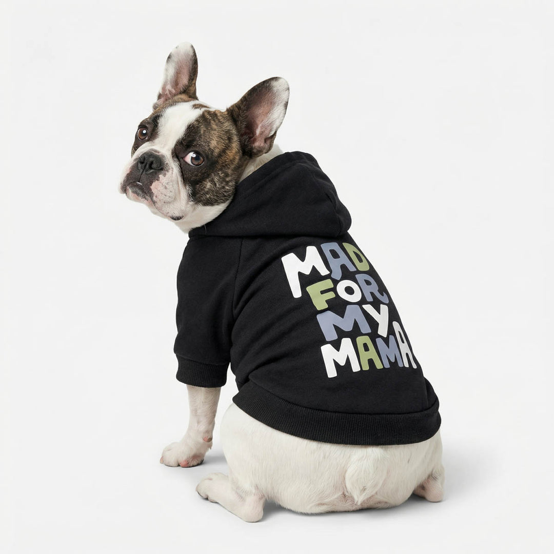 Classic black hoodie for dogs on a sitting French Bulldog