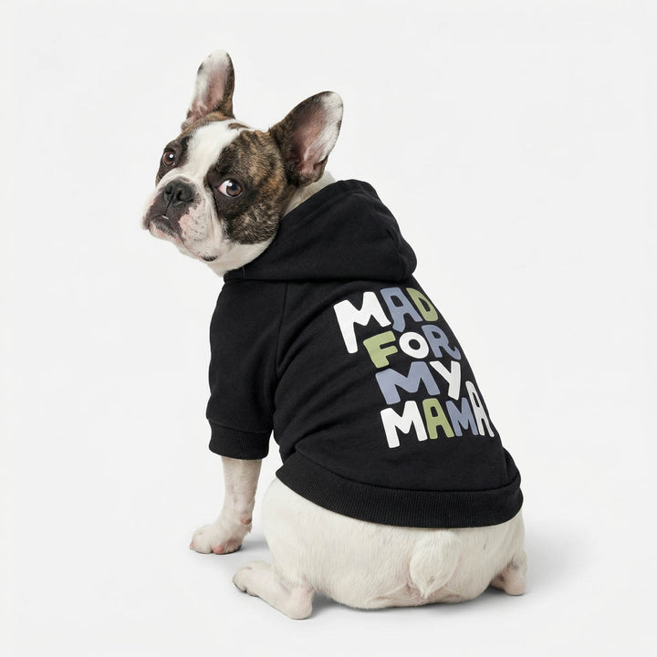 Classic black hoodie for dogs on a sitting French Bulldog