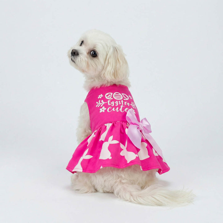 Easter dog dress styled on small dog with bunny print on pink skirt.