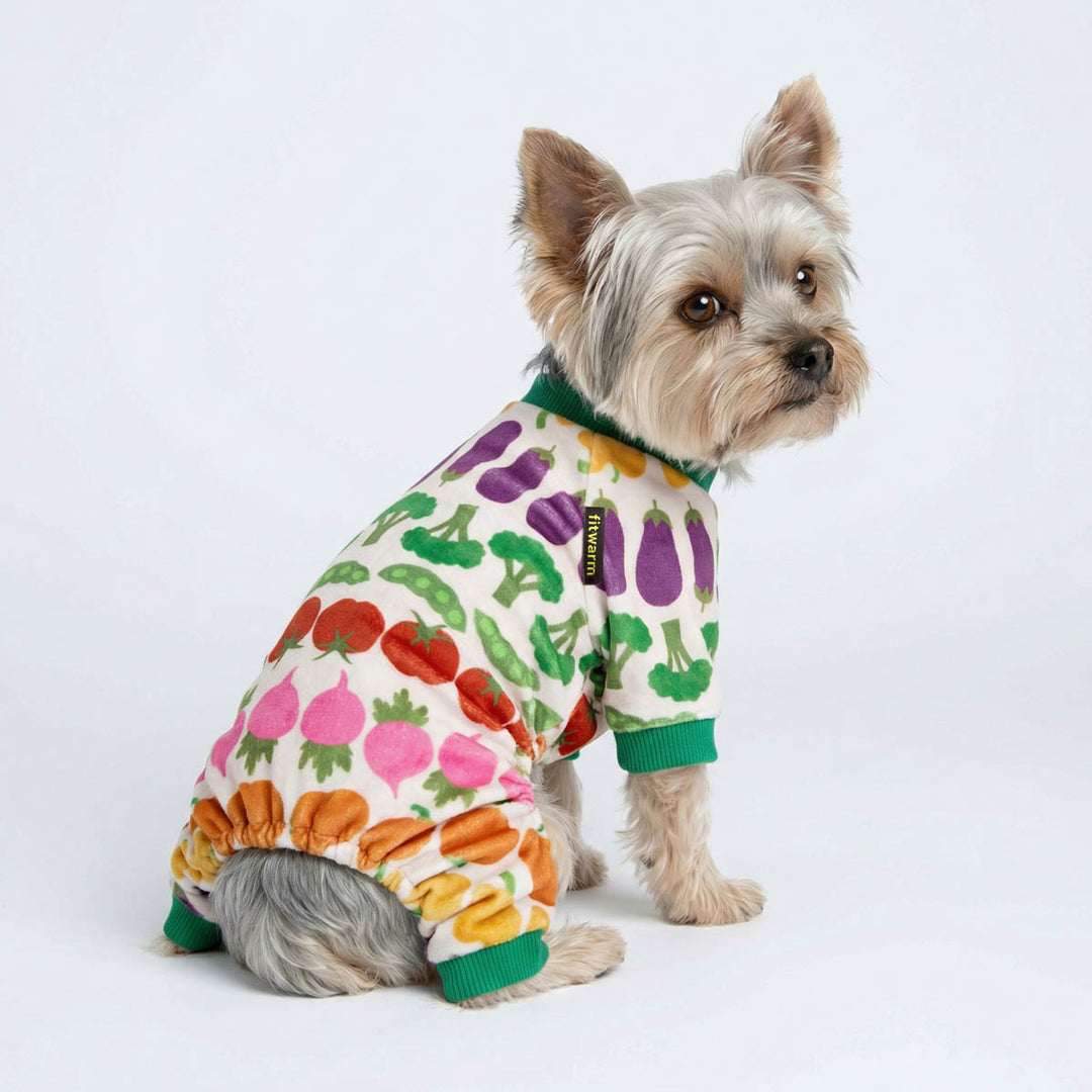 Yorkie sitting on the ground with funny vegetable pajamas for dogs