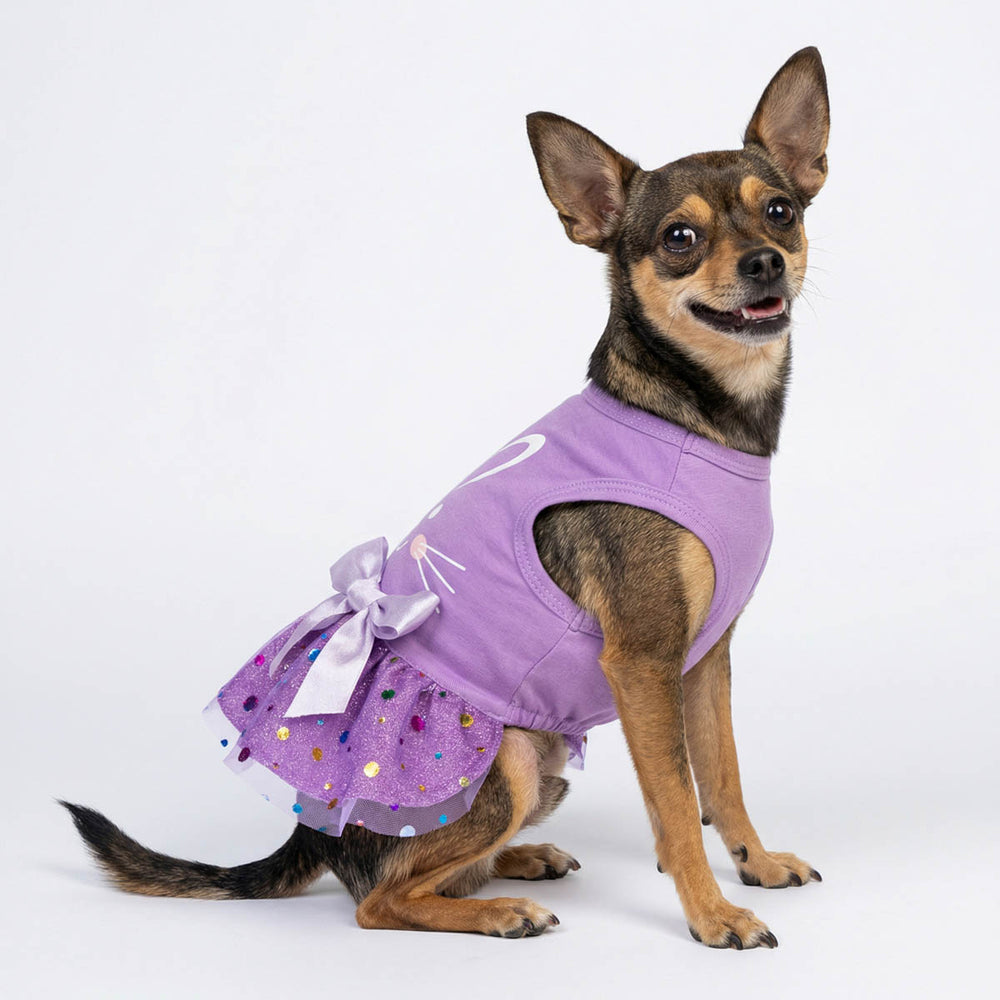 Chihuahua wearing a Easter bunny dog tutu dress