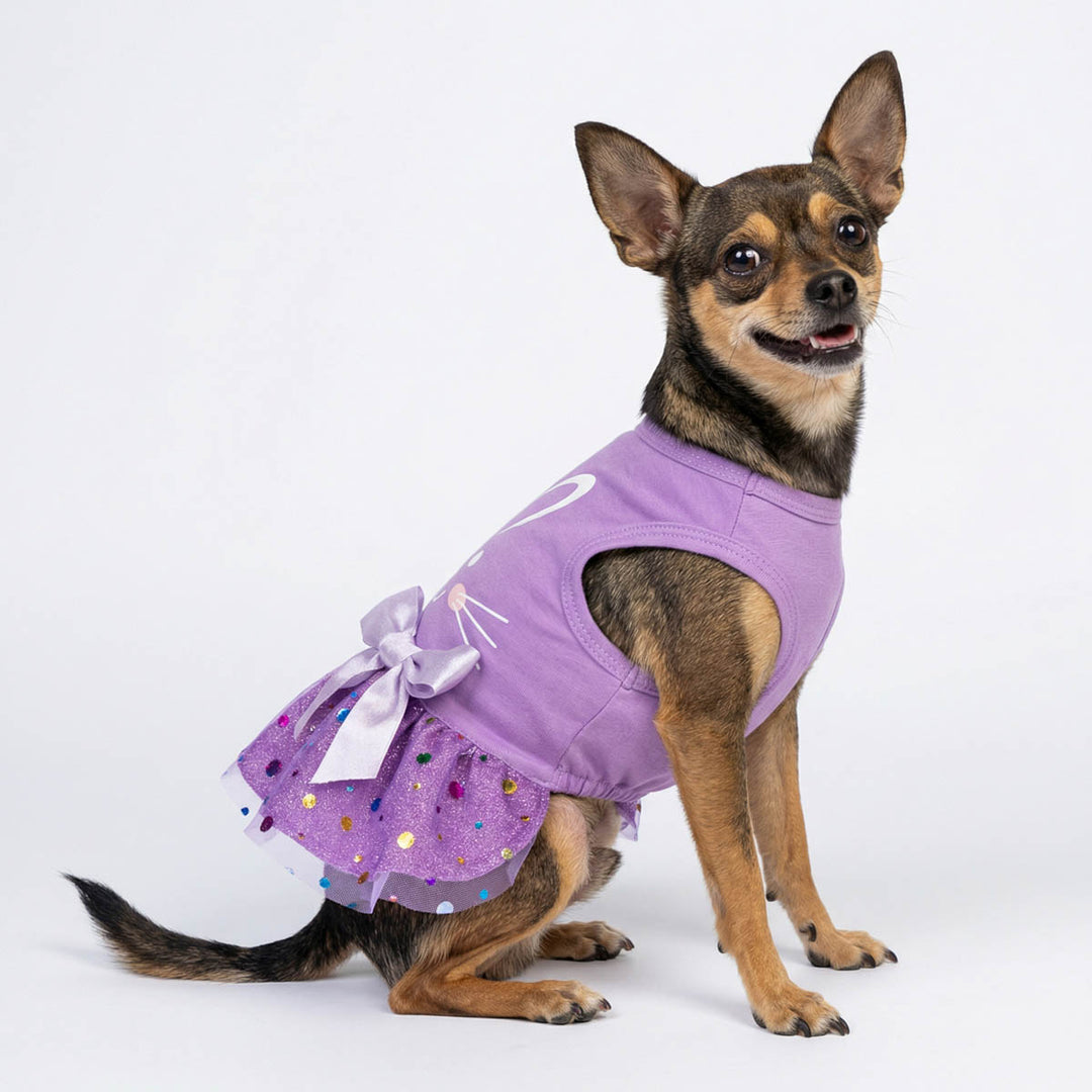 Chihuahua wearing a Easter bunny dog tutu dress