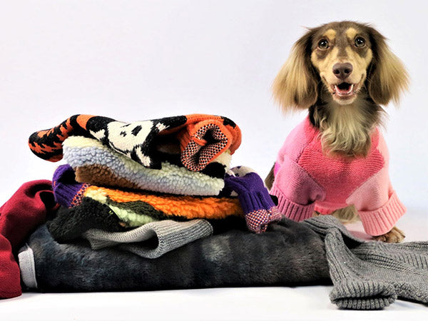 Dog Clothing for Dogs - Fitwarm