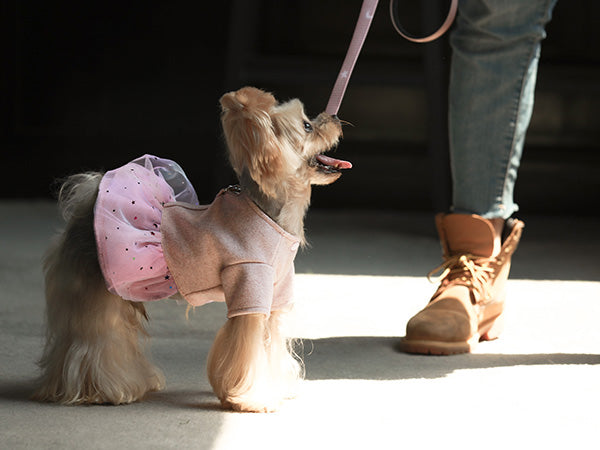 Dog Harness Dress - Fitwarm