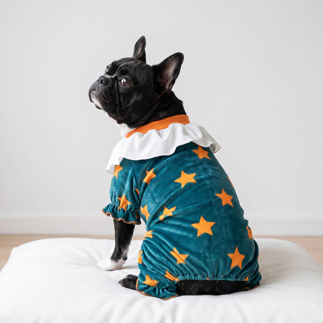French Bulldog wearing a teal velvet Halloween dog clown costume with orange stars and a white ruffled collar, sitting on a white cushion against a light gray wall