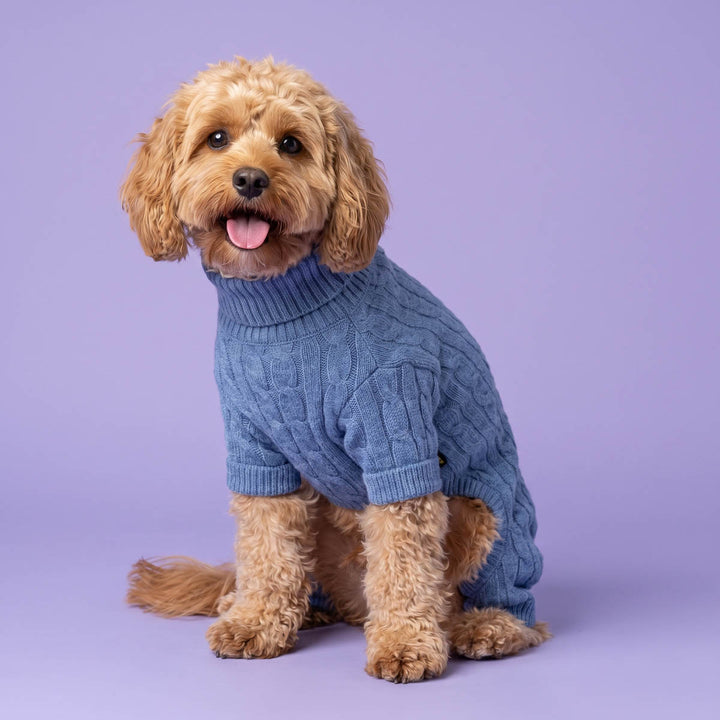 Cozy blue dog jumpsuit worn by a small dog sitting on a purple background
