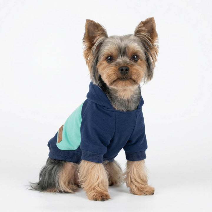 Yorkie wearing a classic color block dog sweatshirt with hood design