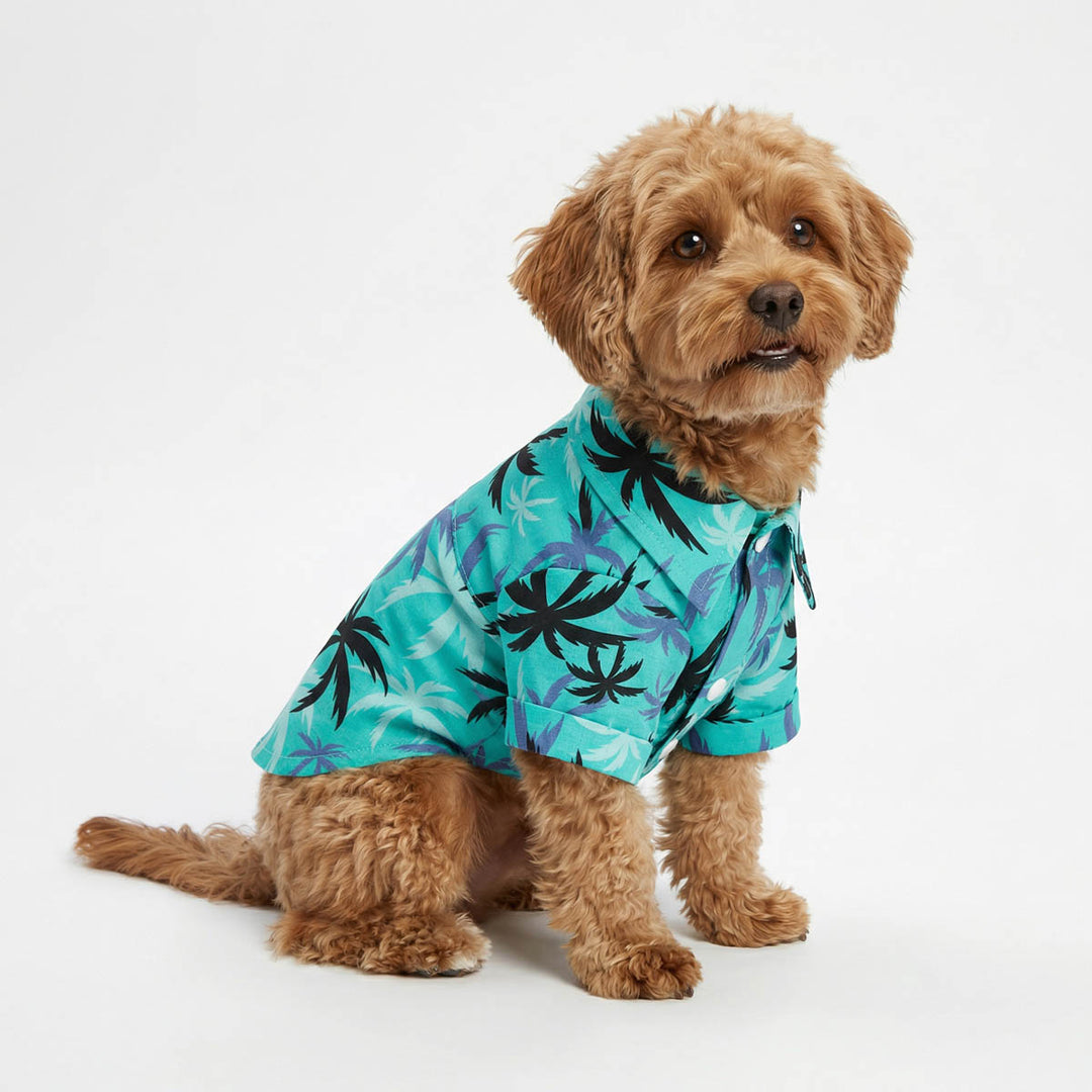 Dog wearing a turquoise dog tshirt with black palm tree pattern on a white background