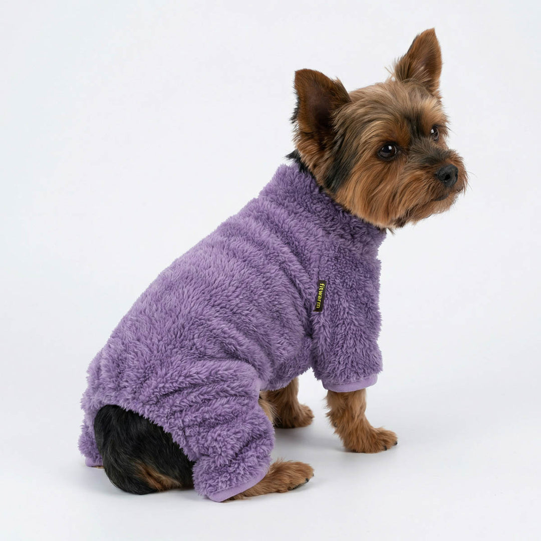 Side view of Yorkie in a dog fleece pajamas