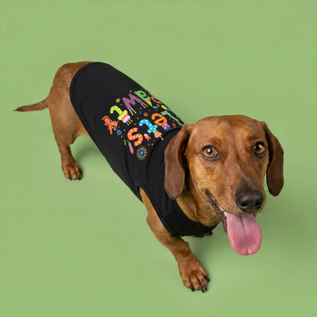 Dachshund standing on a green background in a 'Let's pawty' dog tank top