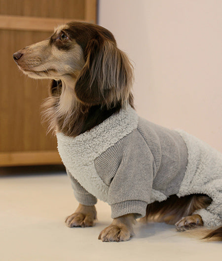Dog Clothes for Dachshund - Fitwarm
