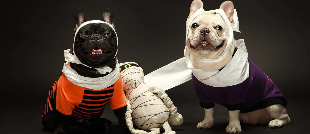 2-Pack Halloween French Bulldog Shirts - Fitwarm