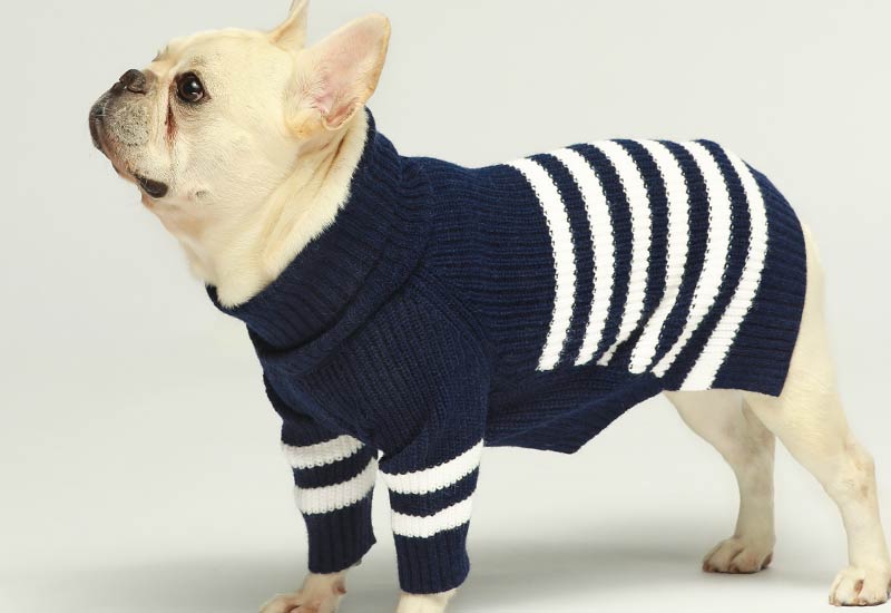 Boy Dog Clothes - Sweater, Pajamas, Coat, & Shirts - Fitwarm