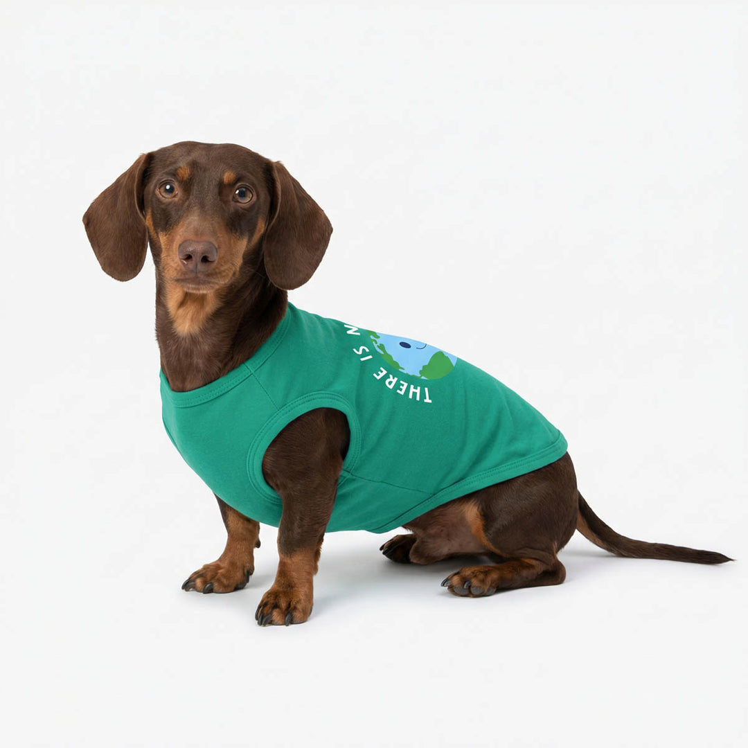 Dachshund wearing a green shirt with text and graphics on a white background