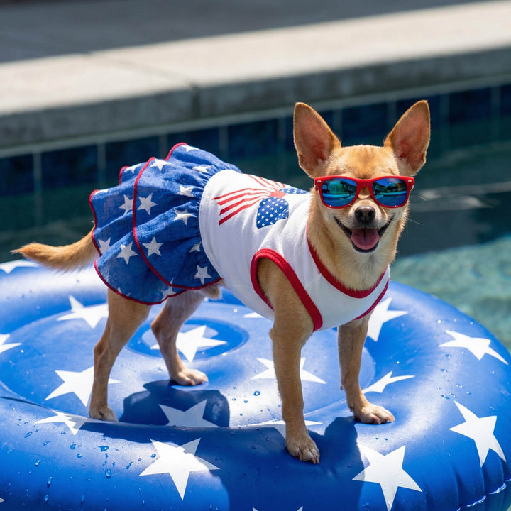 Dog wearing a patriotic dress for dogs and sunglasses on a pool float