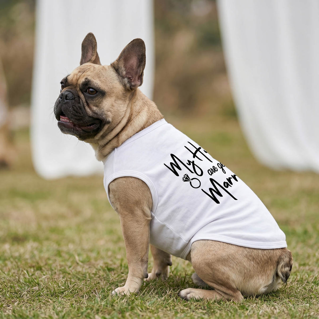 French Bulldog wearing a white dog summer shirt outdoors