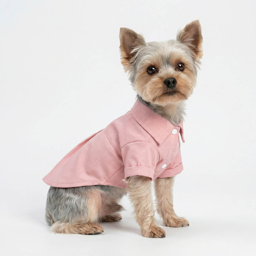 Yorkie in a button up shirt for dogs with collared neck design