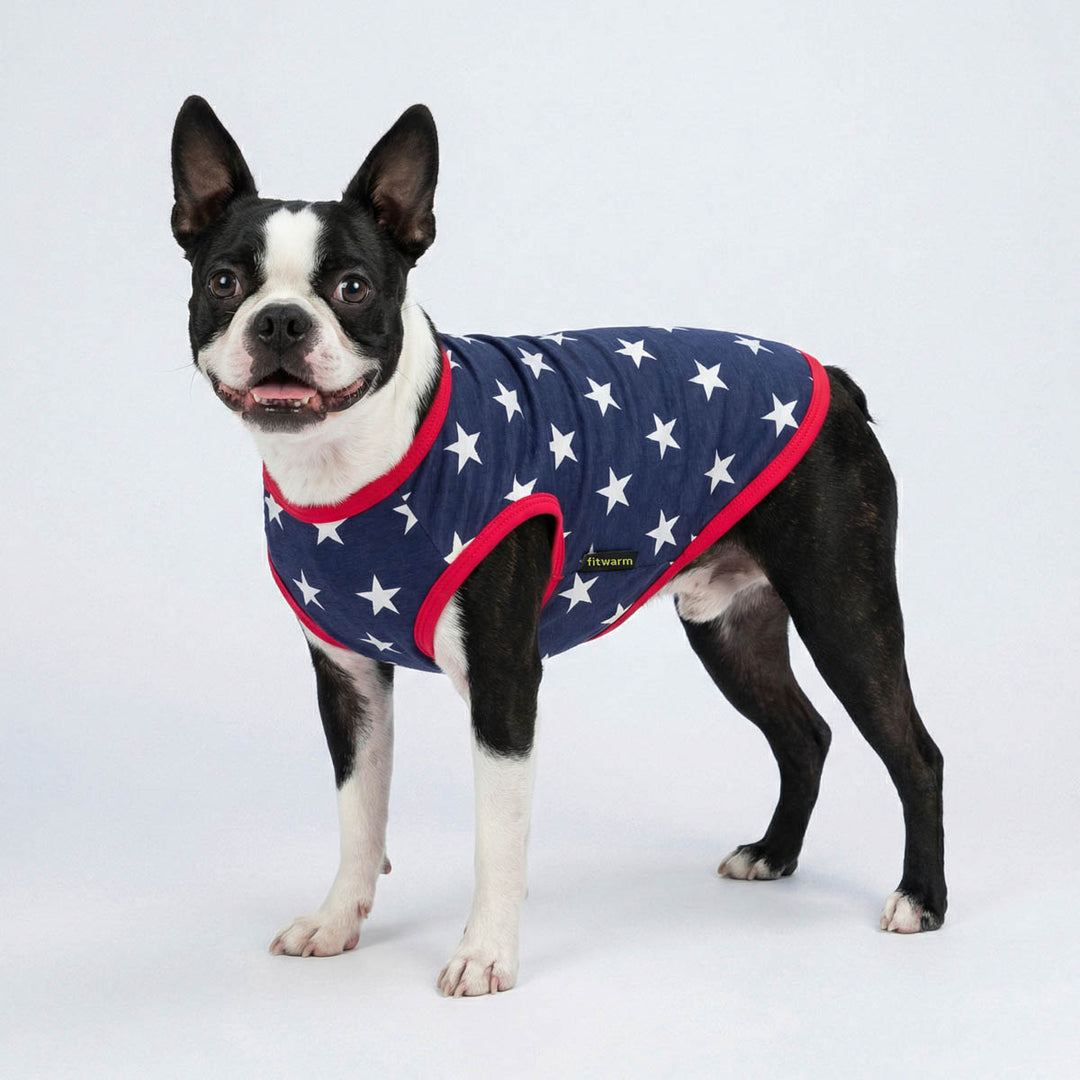 Boston Terrier in a 4th of July shirt for dogs