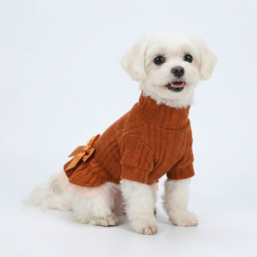Small white dog wearing an orange dog sweater dress on a white  background