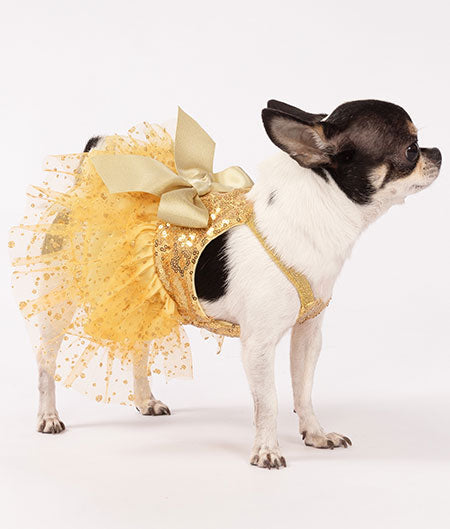 agical Moments: Discover Our Dog Tutu Collection | Fitwarm Page 2 agical Moments: Discover Our Dog Tutu Collection | Fitwarm Page 2