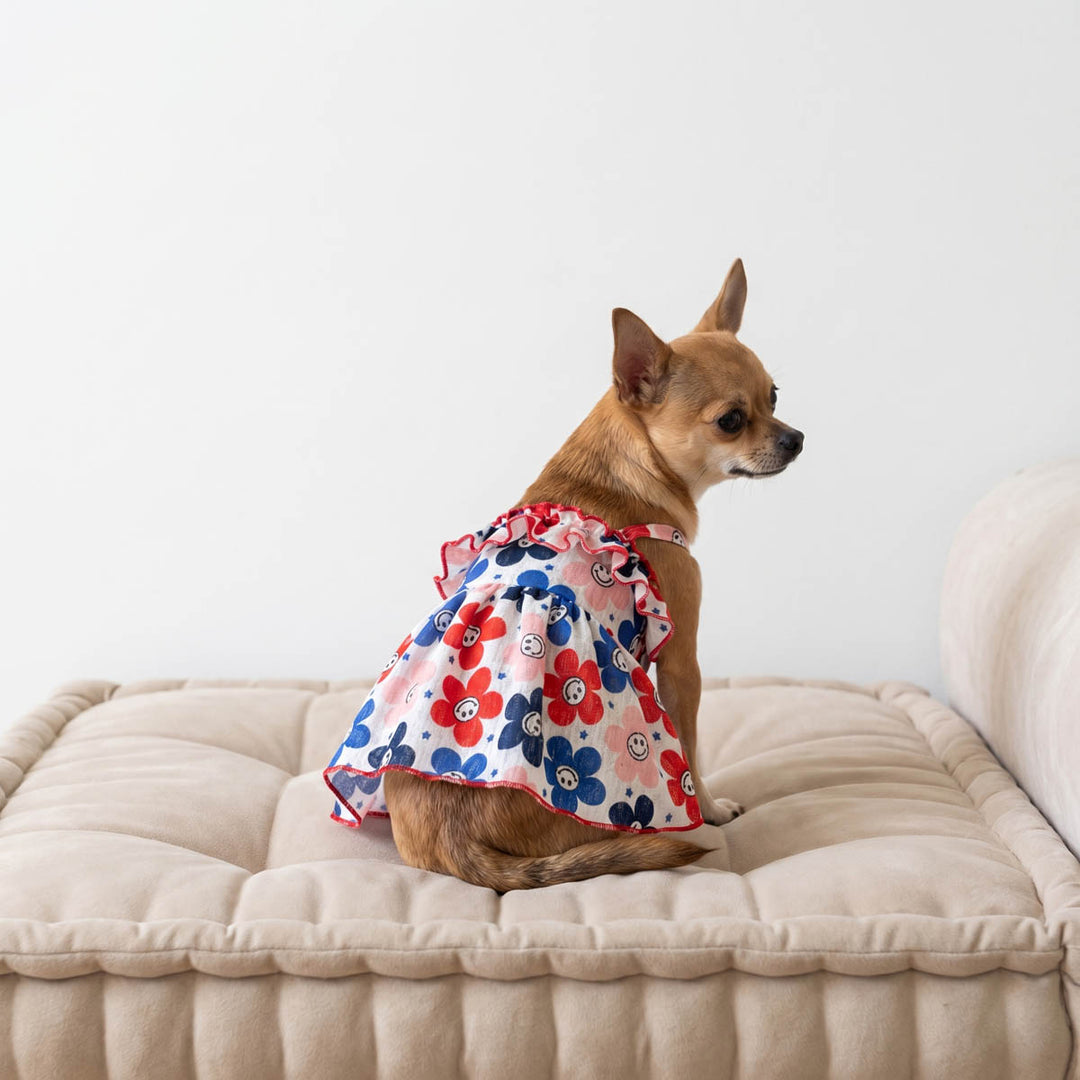 Small dog sitting on a sofa with a smiley face floral dress for dogs, specially design for 4th of July