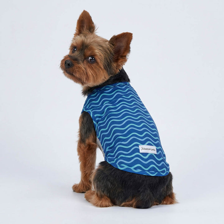 Dog wearing blue UV protection shirt with ocean wave pattern.
