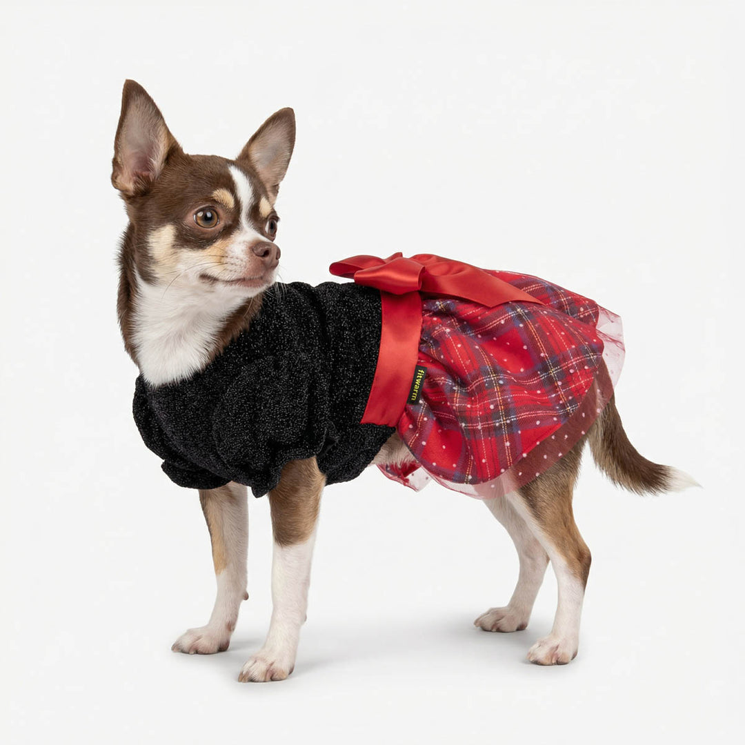 Small dog wearing a black dog Christmas dress and red plaid skirt with a bow on a white background