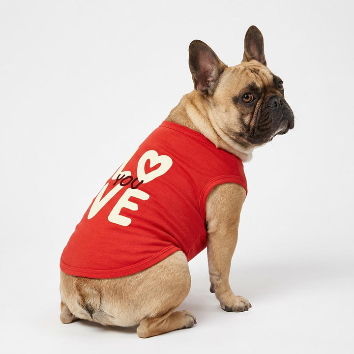 French bulldog wearing red dog tank top with 'love you' lettering for Valentine theme