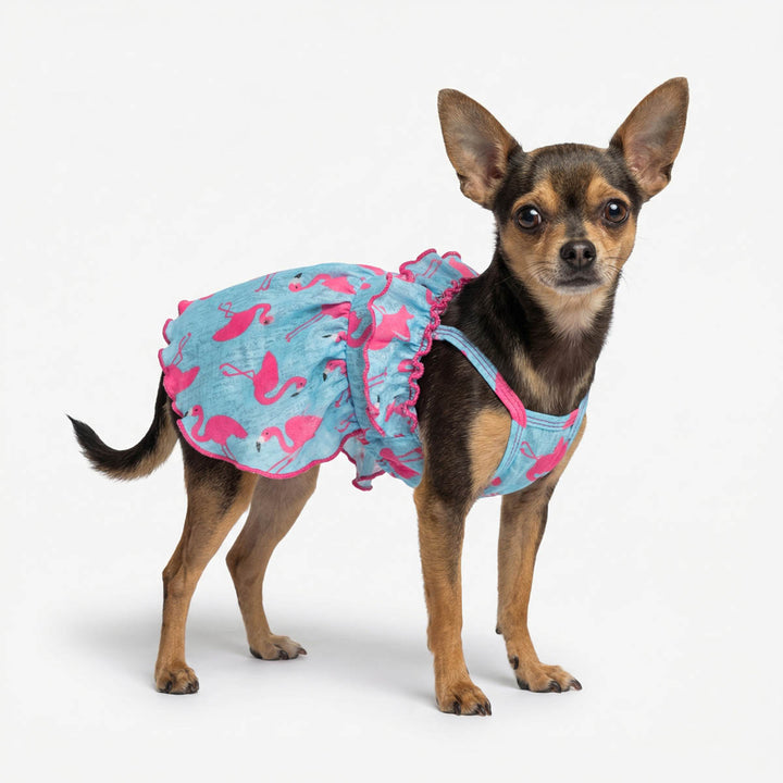 Blue flamingo dog Hawaiian dress on a small Chihuahua