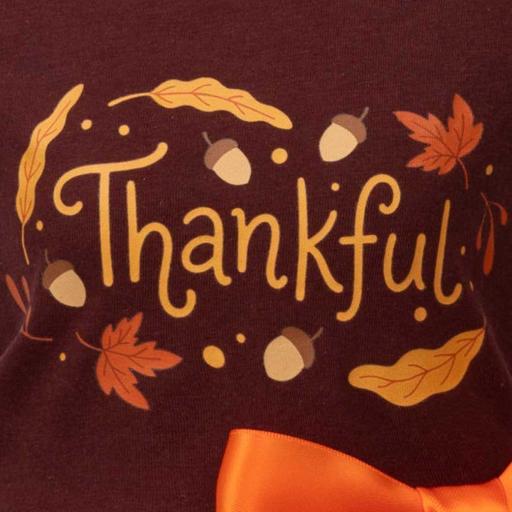 Close-up of a dark brown dog tutu featuring a 'Thankful' graphic in yellow script, decorated with autumn leaves, acorns, and dots, with an orange satin ribbon bow at the bottom