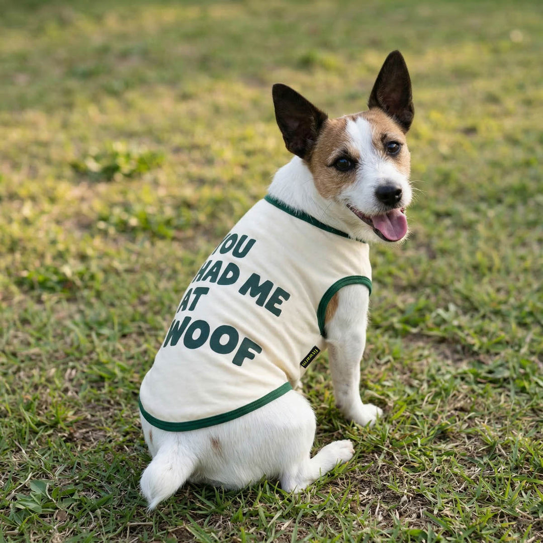 Dog wearing a dog tshirt with text sitting on grass