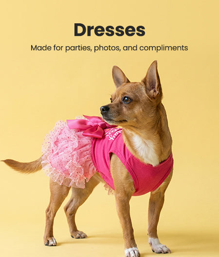 Stylish Dog Dresses | Fitwarm Stylish Dog Dresses | Fitwarm