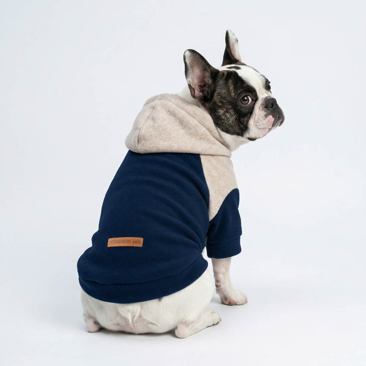 Timeless hoodie for dogs on a French Bulldog sitting on the ground