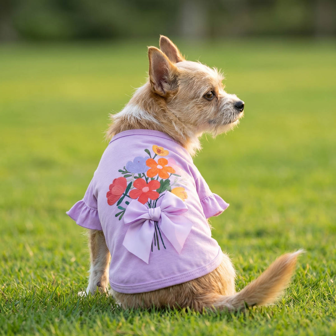Small sitting on grass and looking back with a purple shirt for dogs