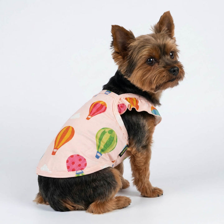 Yorkie sitting with a ruffle dog shirt with hot air balloon prints