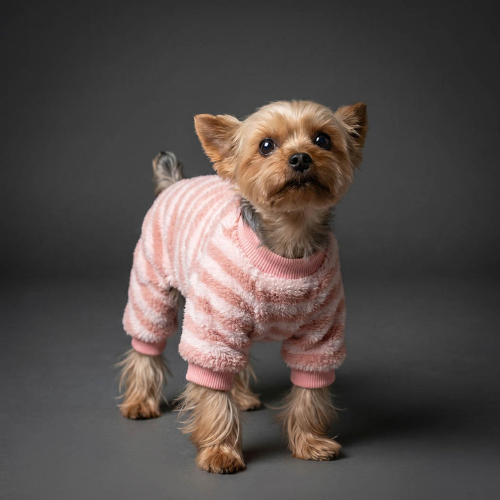 Yorkshire Terrier dog wearing a pink and white striped dog onesie, standing against a dark gray studio background