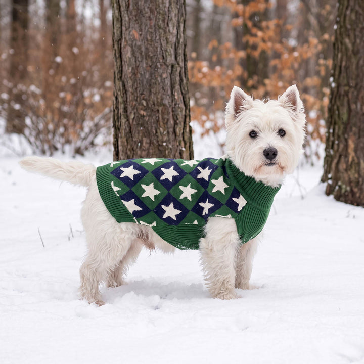 Westie standing on the snow and wearing a knitted dog winter sweater